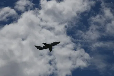 DSC_6258 (Large).JPG